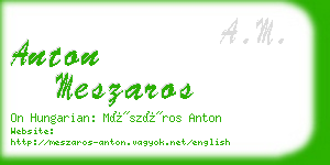 anton meszaros business card